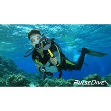 Nokta PulseDive Scuba Su Altı ve Pinpointer Dedektör